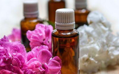LOS BENEFICIOS DE LA APLICACIÓN DE ACEITES VEGETALES EN LA SEQUEDAD VAGINAL